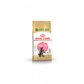 ROYAL CANIN CAT KITTEN MAINE COON 2KG